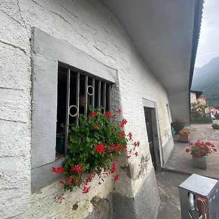 Casa Vacanze Il Pettirosso. 피소그네 외부 사진