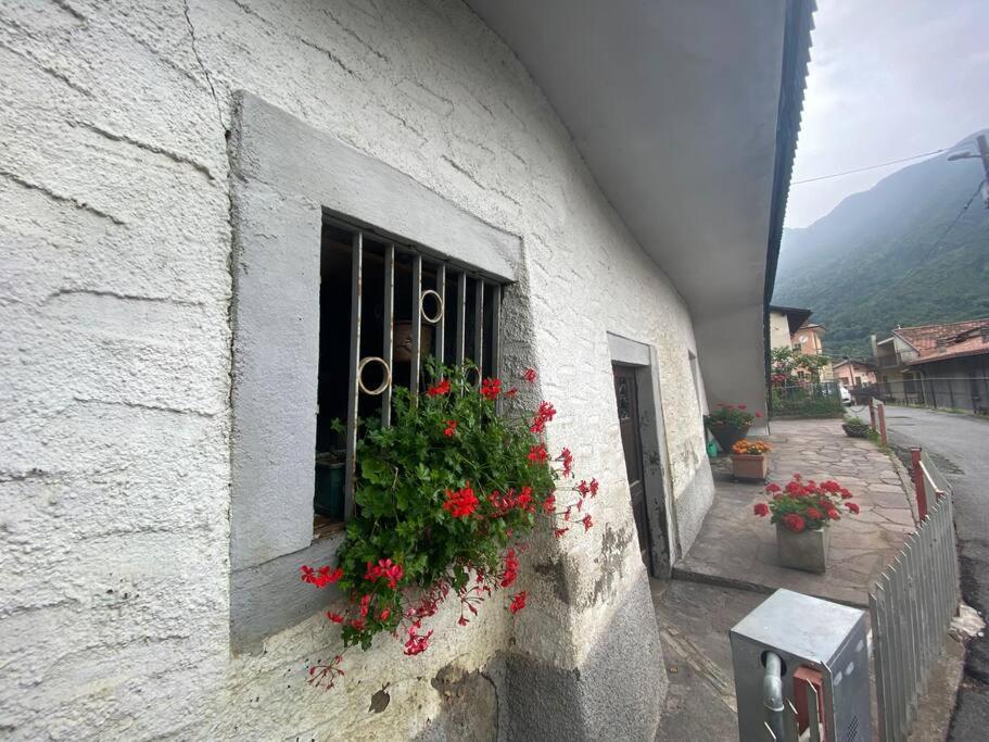 Casa Vacanze Il Pettirosso. 피소그네 외부 사진