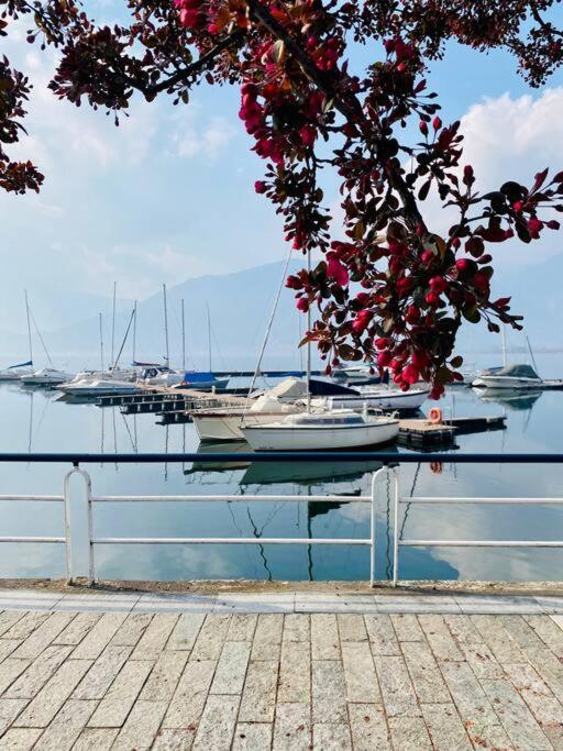 Casa Vacanze Il Pettirosso. 피소그네 외부 사진