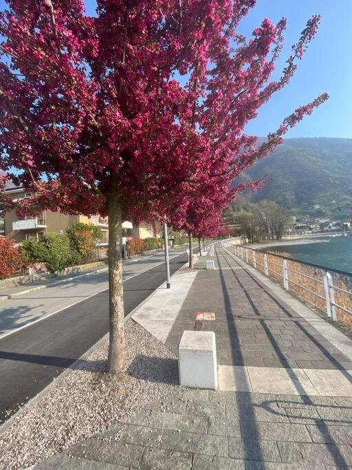 Casa Vacanze Il Pettirosso. 피소그네 외부 사진