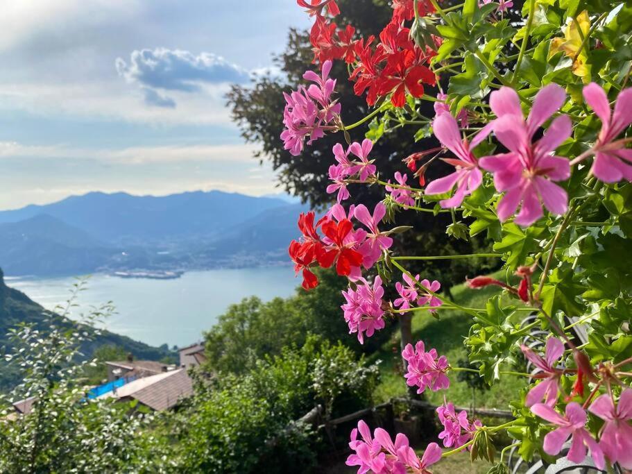 Casa Vacanze Il Pettirosso. 피소그네 외부 사진